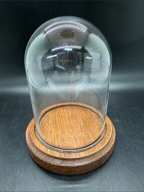 Vintage 70’s Glass Cloche Bell Jar Display Dome Wood Base Specimen Display